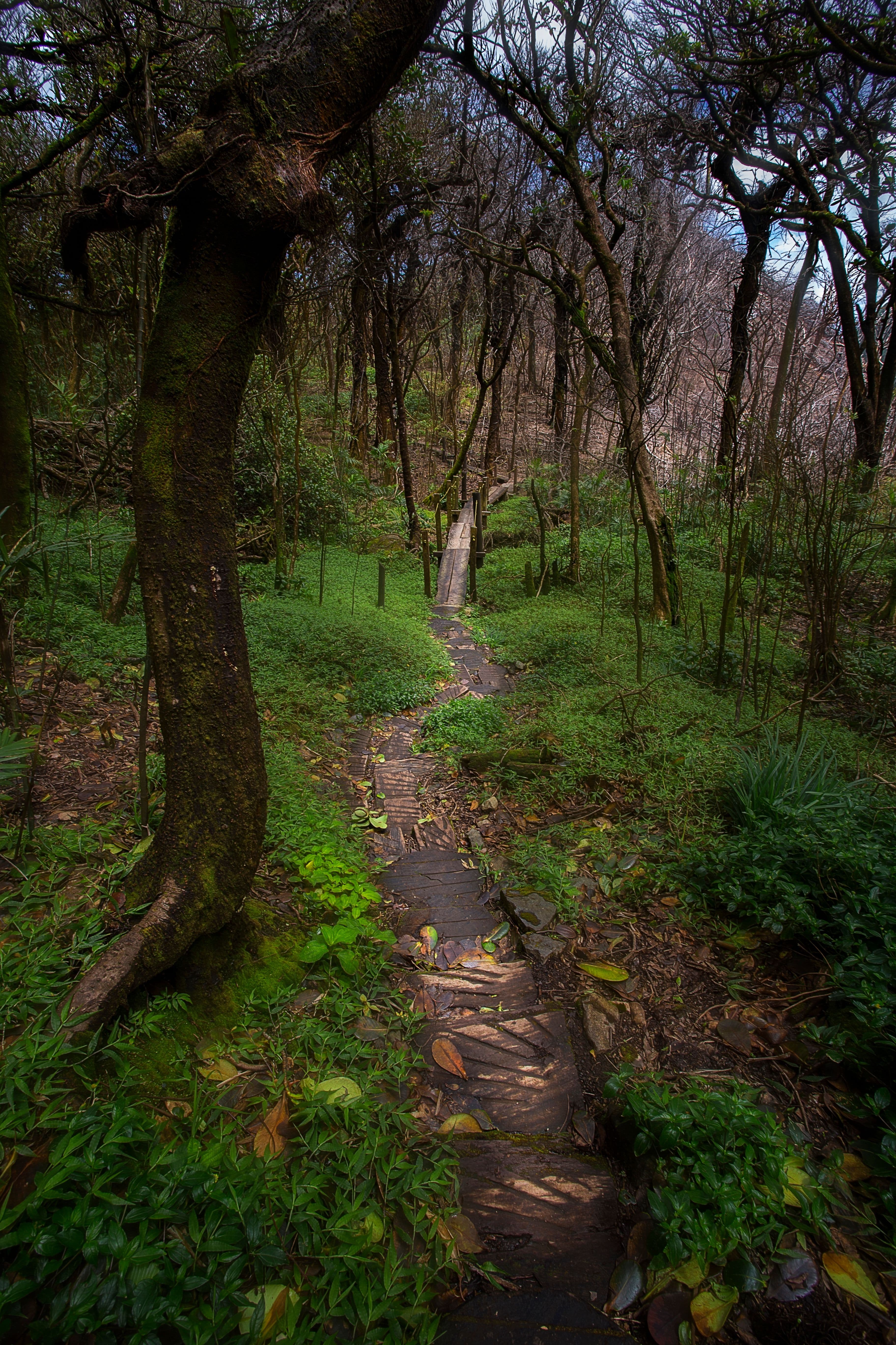 Trekking to the Mombacho Volcano Crater 5