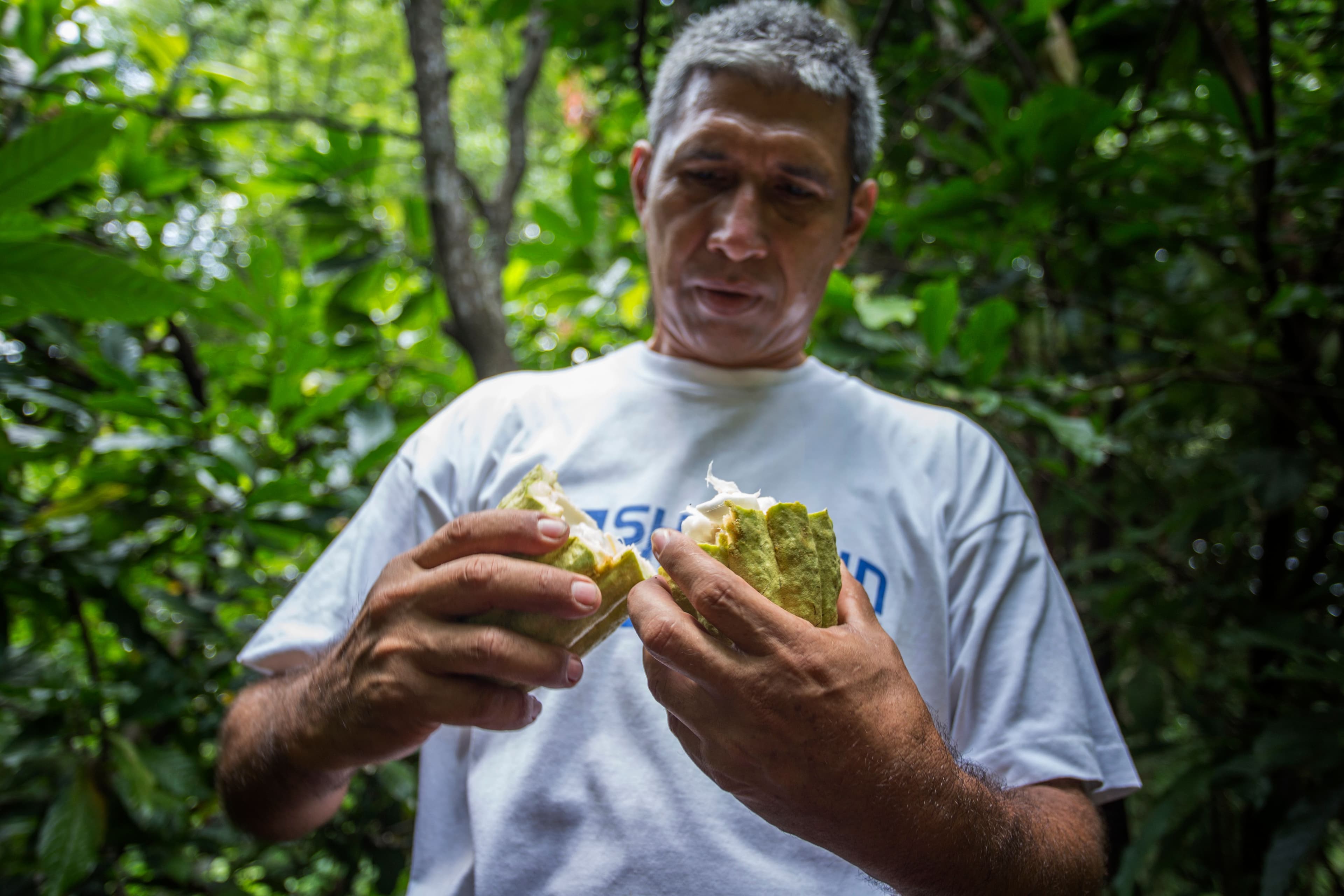 The Real Nicaragua. Coffee, Chocolate and Tabaco Tour 2