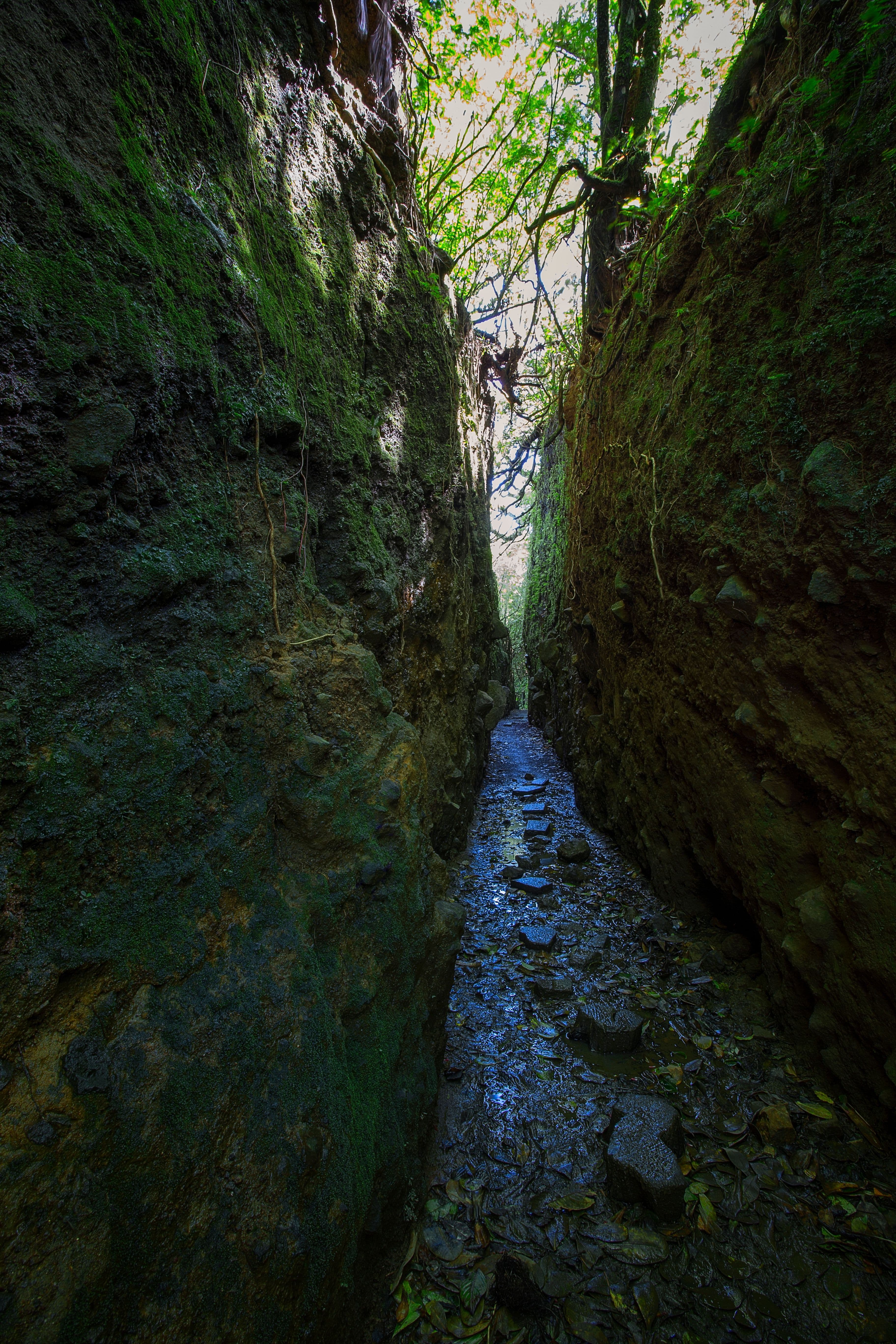 Mombacho Volcano Hike | Crater Trail 4